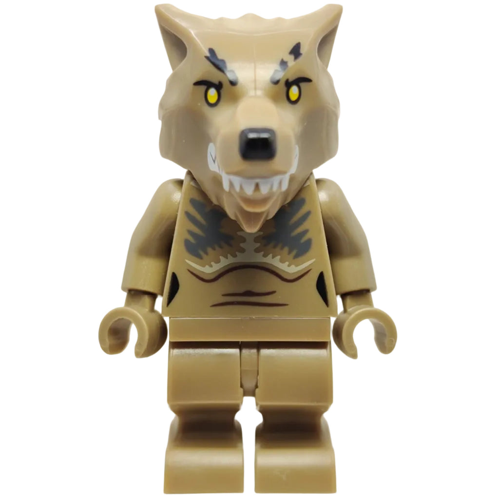 Professor Remus Lupin - Werewolf, hp348