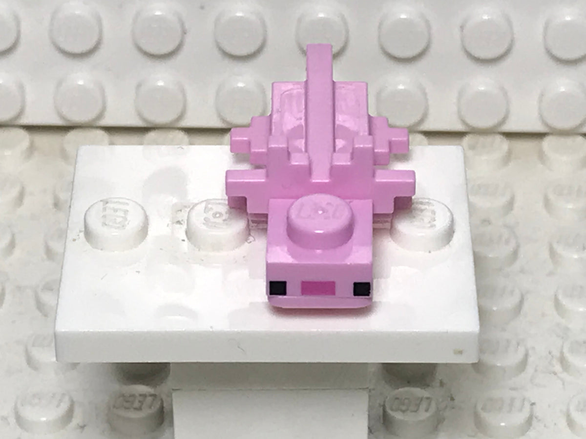 Minecraft Axolotl, mineaxolotl02